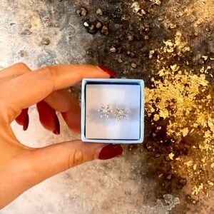 HYPOALLERGENIC Sterling Silver Snowflake Earrings